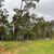 Terreno, 2 hectares - Foto 2