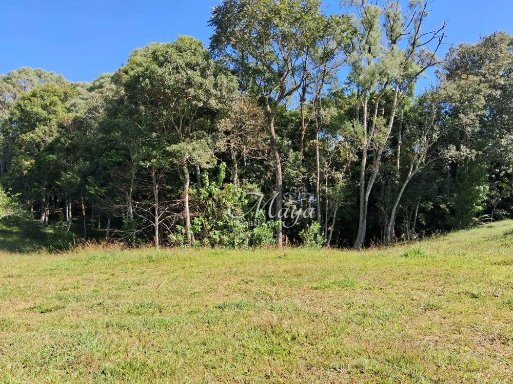 Terreno, 1600 m² - Foto 3