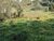 Terreno, 4 hectares - Foto 2