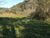 Terreno, 4 hectares - Foto 3