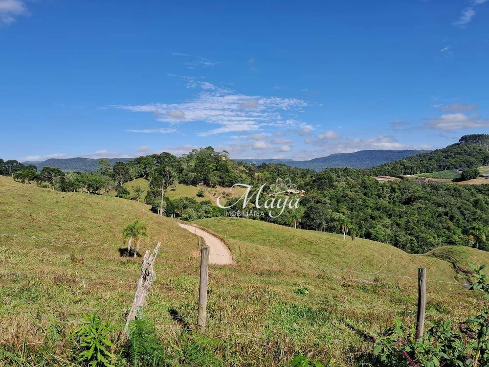 Terreno, 10 hectares - Foto 7