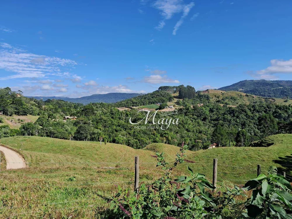 Terreno, 10 hectares - Foto 6