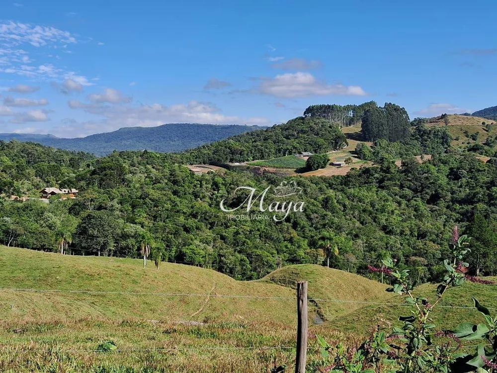 Terreno, 10 hectares - Foto 3