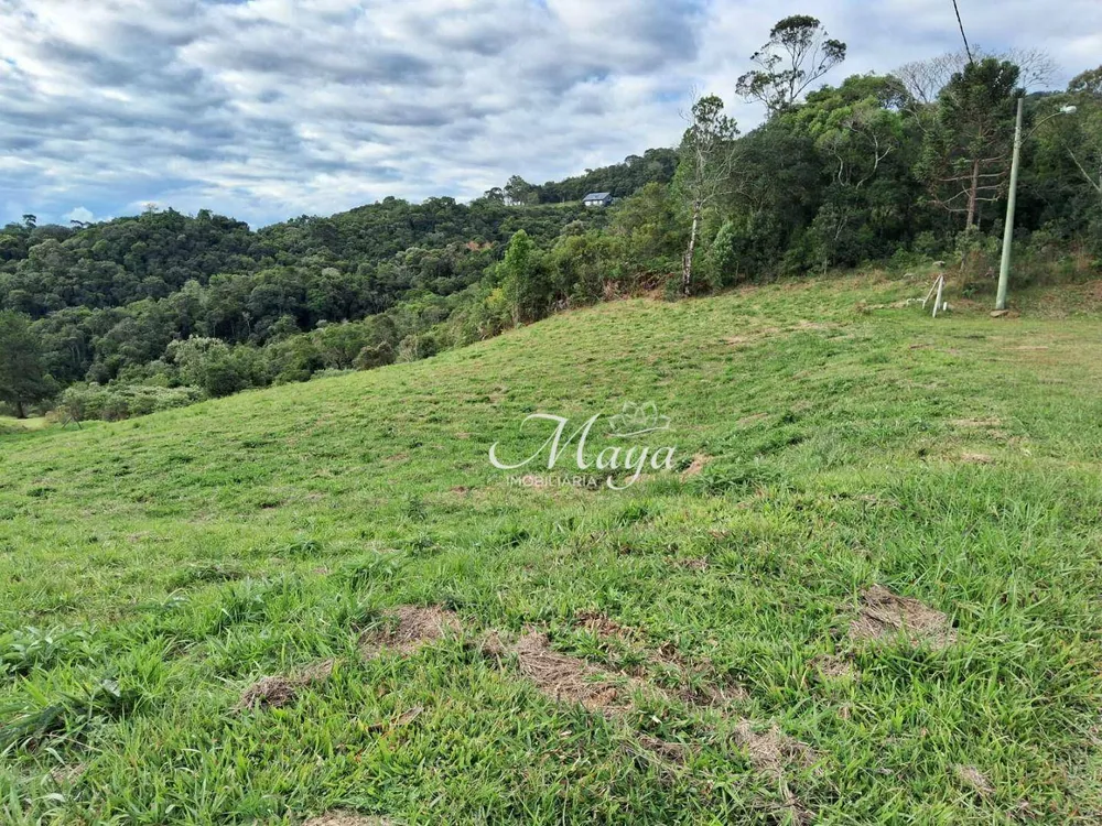 Loteamento e Condomínio, 3911 m² - Foto 3