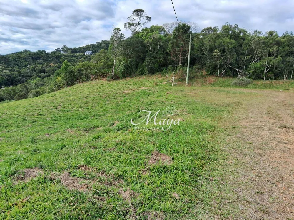 Loteamento e Condomínio, 3911 m² - Foto 4