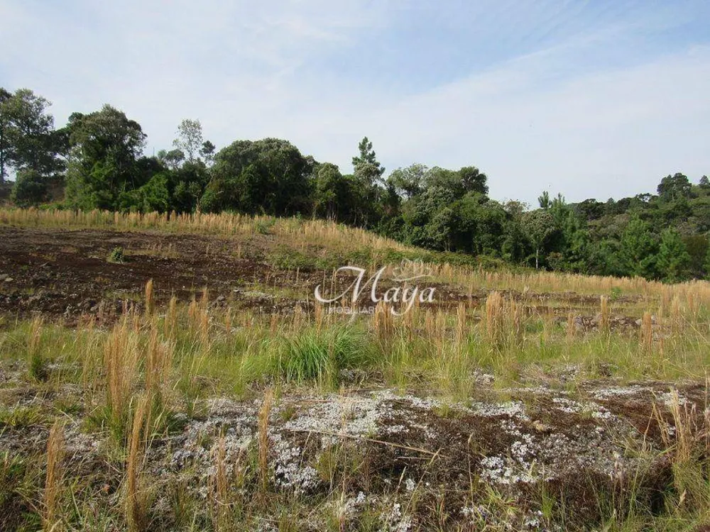 Terreno, 1184 m² - Foto 4