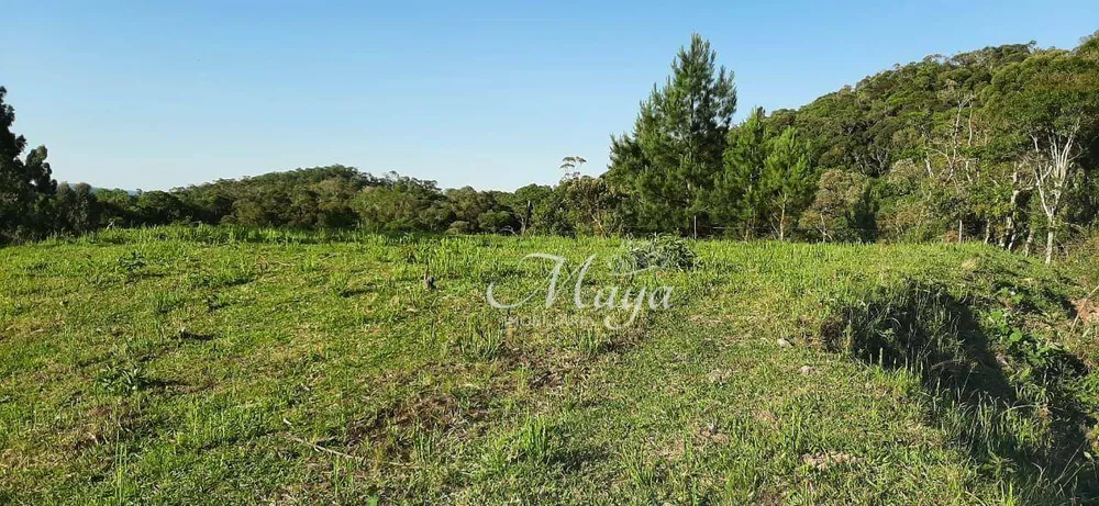 Terreno, 14 hectares - Foto 2