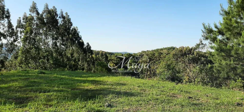 Terreno, 14 hectares - Foto 1