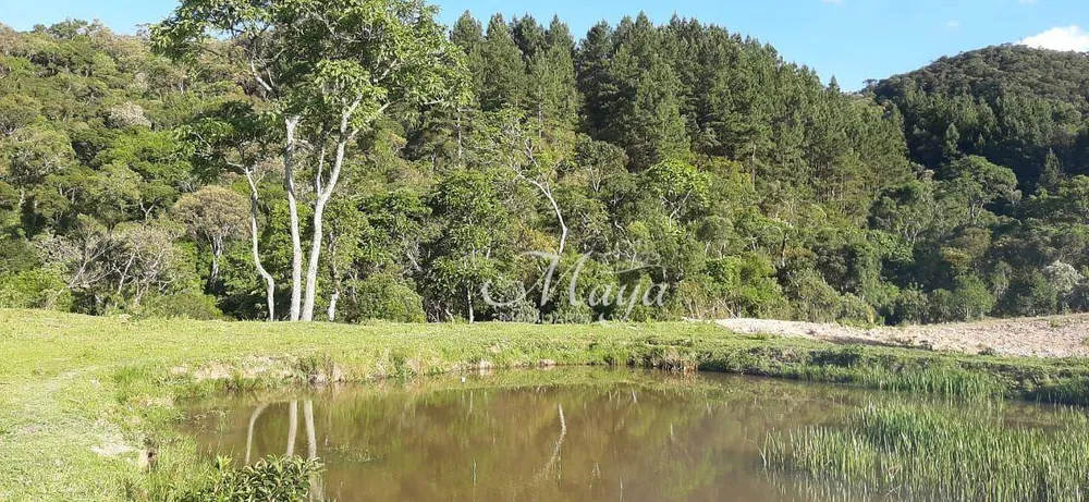 Terreno, 14 hectares - Foto 4