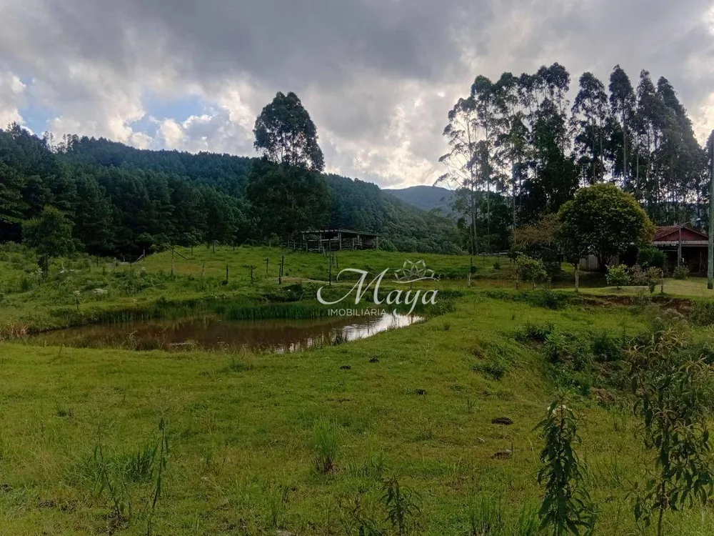Terreno, 14 hectares - Foto 3