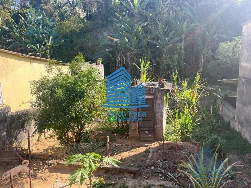 Casa, 4 quartos, 300 m² - Foto 4