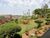 Sítio, 8 quartos, 8 hectares - Foto 4
