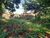 Terreno, 5400 m² - Foto 5