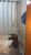 Casa, 3 quartos, 400 m² - Foto 10