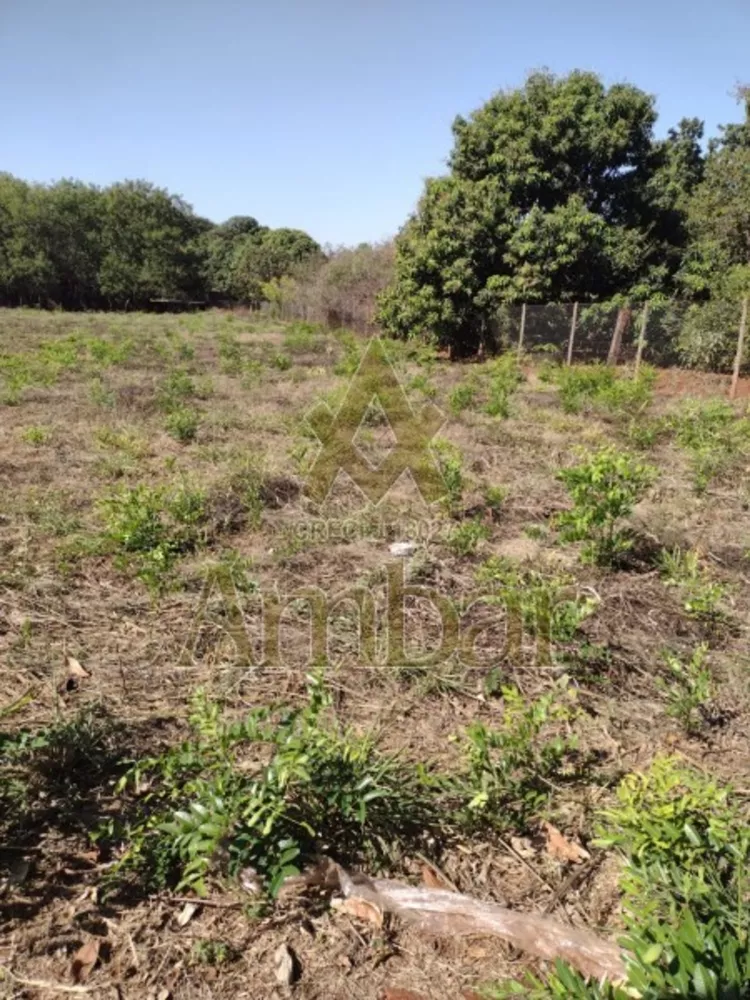 Terreno à venda e aluguel, 5000m² - Foto 2