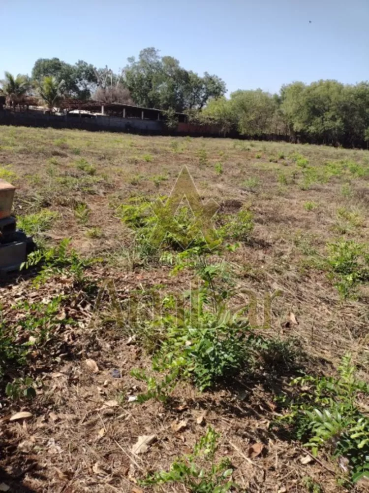 Terreno à venda e aluguel, 5000m² - Foto 4