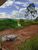 Terreno, 1000 m² - Foto 2