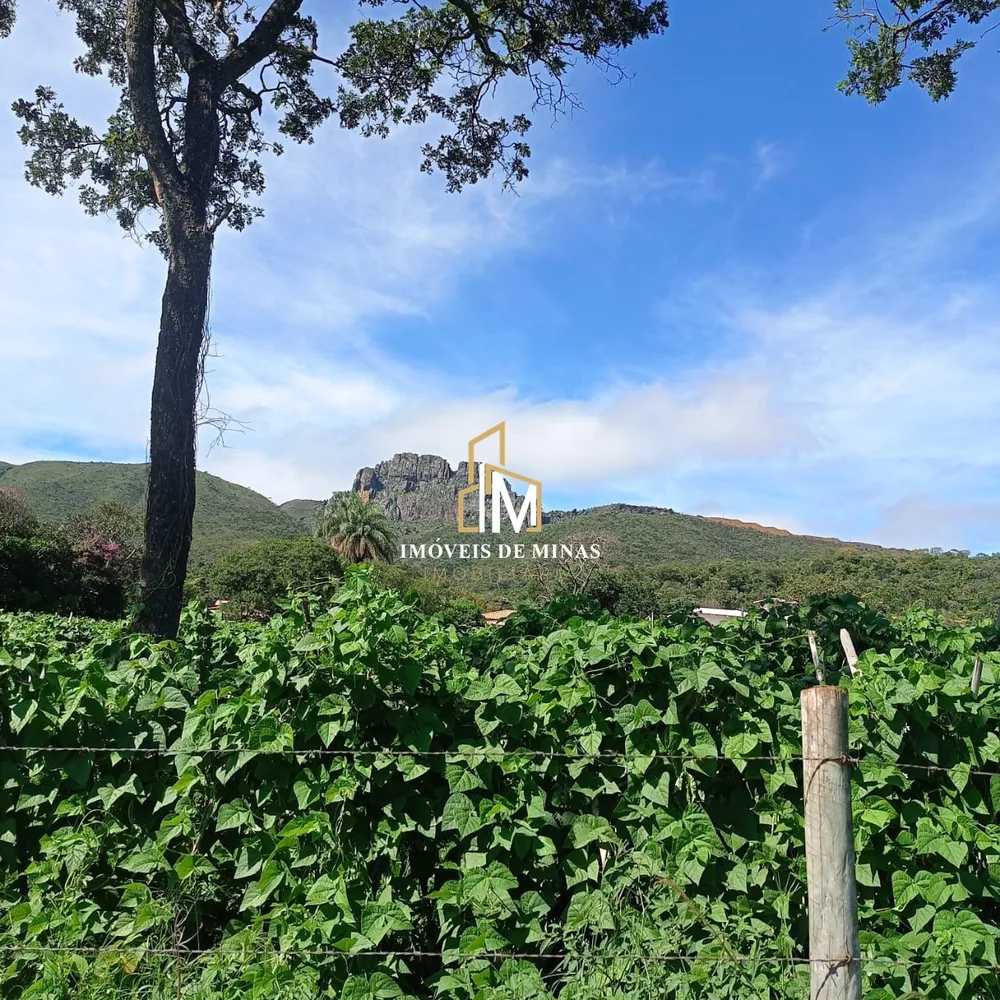 Terreno, 3 hectares - Foto 3