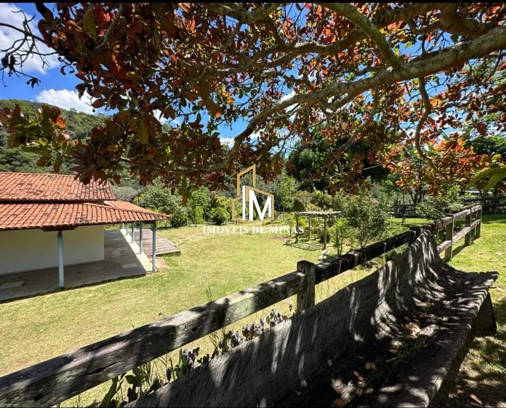 Fazenda, 84 hectares - Foto 4