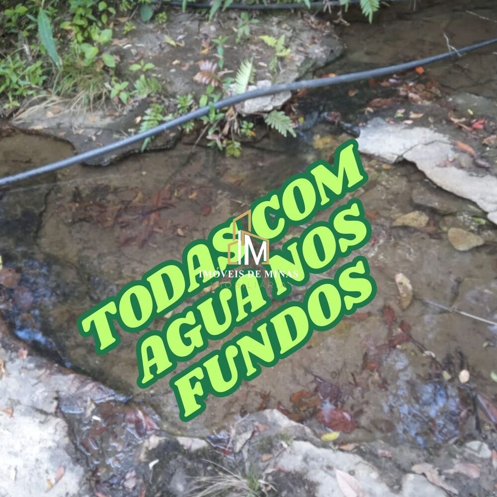 Terreno, 2 hectares - Foto 2