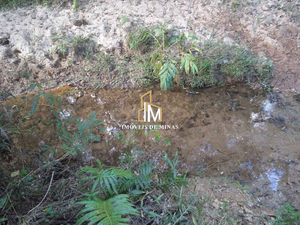 Terreno, 2 hectares - Foto 4