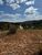 Terreno, 7500 m² - Foto 3