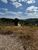 Terreno, 7500 m² - Foto 2