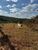Terreno, 7500 m² - Foto 4