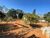Terreno, 1000 m² - Foto 1