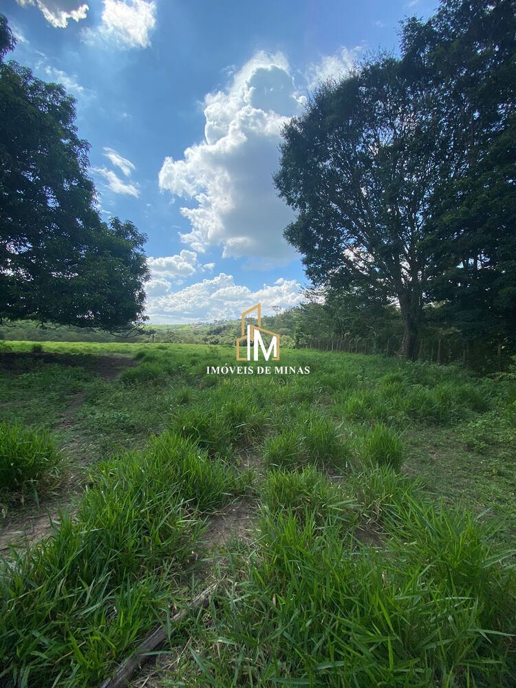 Terreno, 3 hectares - Foto 3