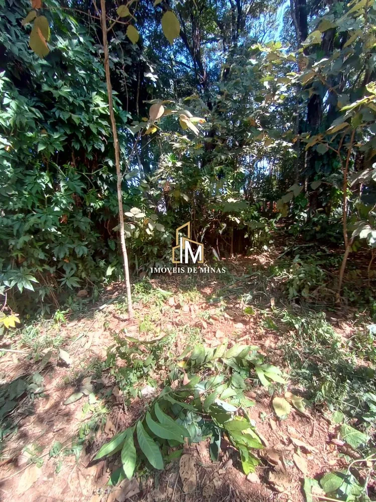 Loteamento e Condomínio, 4800 m² - Foto 4