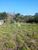 Terreno, 1075 m² - Foto 1