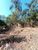 Terreno, 1000 m² - Foto 3