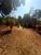 Terreno, 1000 m² - Foto 4