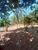 Terreno, 1000 m² - Foto 1