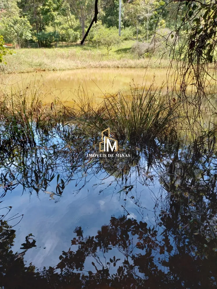 Fazenda, 43 hectares - Foto 4