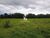Fazenda-Sítio-Chácara, 31 hectares - Foto 11