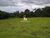 Fazenda-Sítio-Chácara, 31 hectares - Foto 12