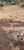 Terreno, 9000 m² - Foto 4