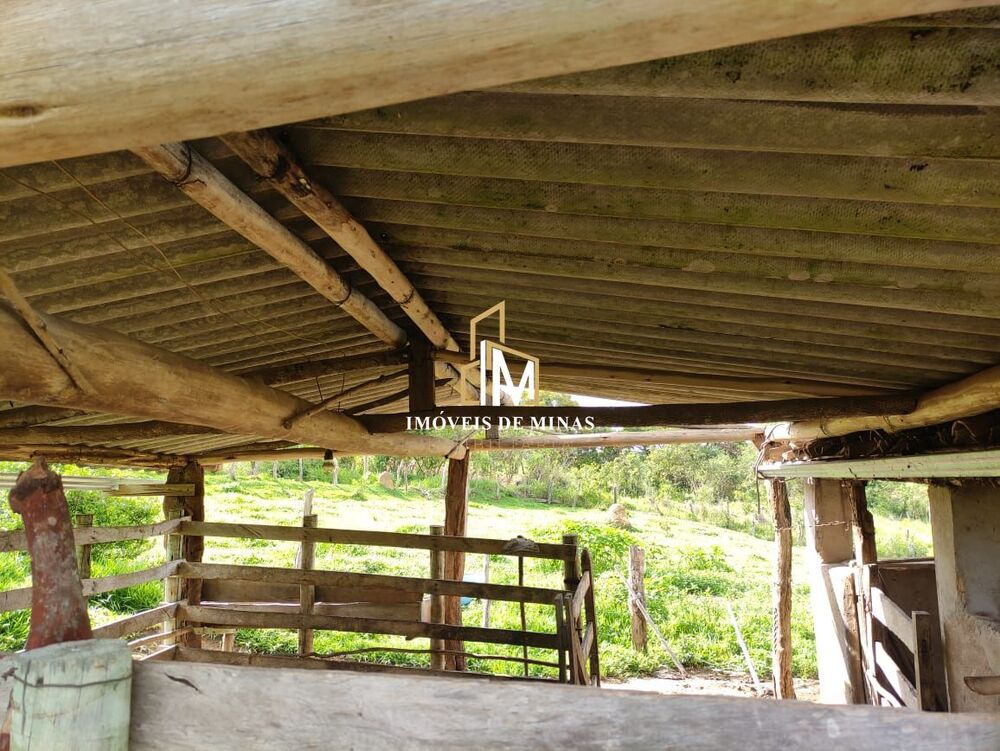 Sítio à venda com 4 quartos, 37000m² - Foto 5