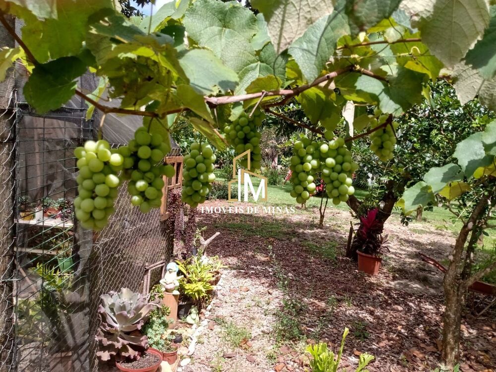 Terreno, 1000 m² - Foto 3