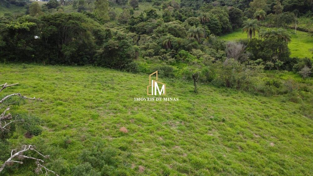 Fazenda, 20 hectares - Foto 10
