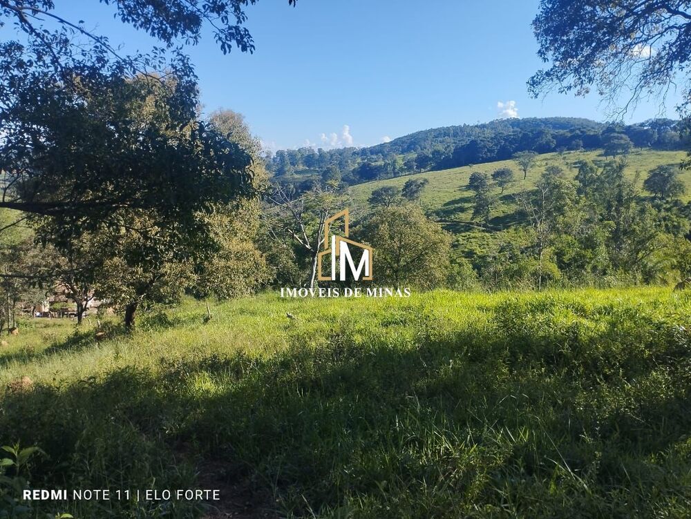 Fazenda, 20 hectares - Foto 6