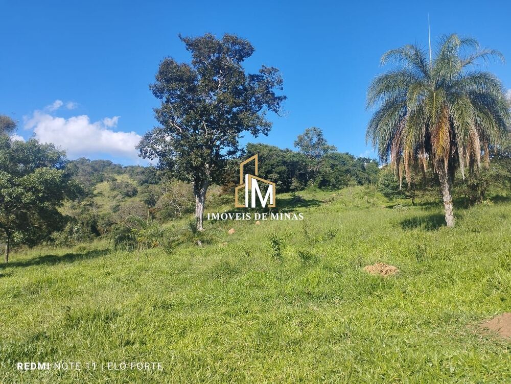 Fazenda, 20 hectares - Foto 3