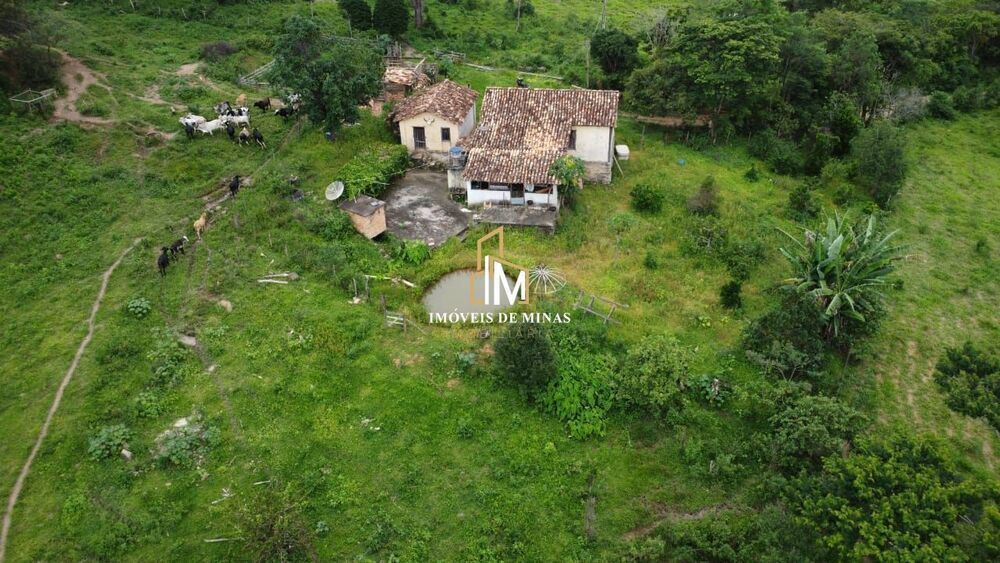 Fazenda, 20 hectares - Foto 8