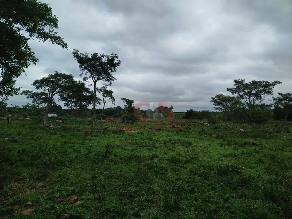Sítio, 2 quartos, 4 hectares - Foto 12