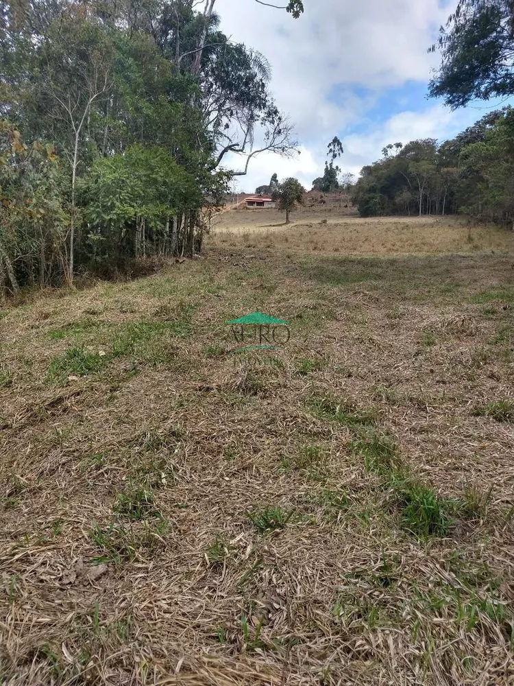 Terreno à venda, 6000m² - Foto 2