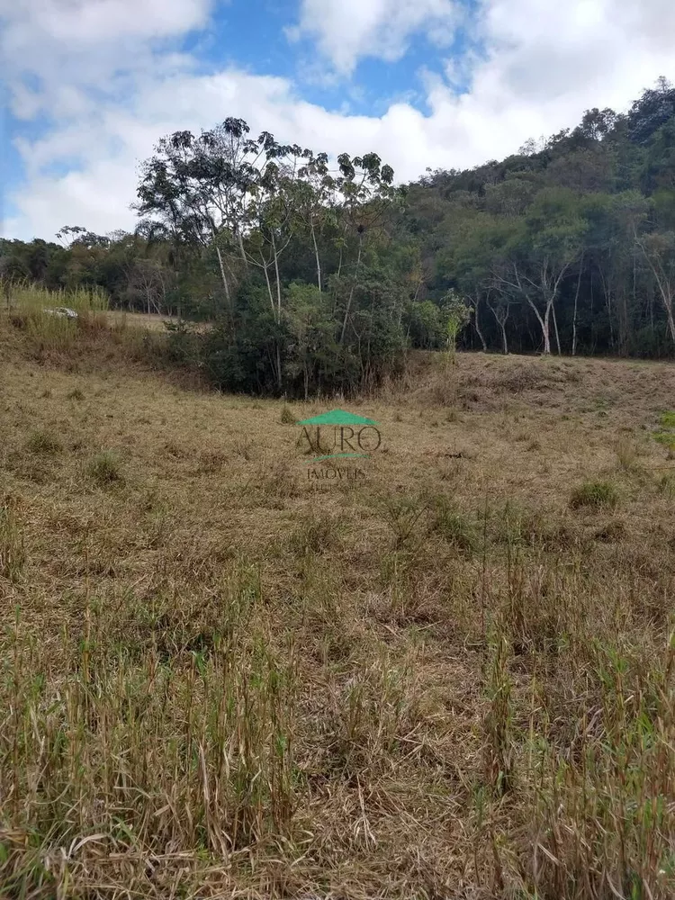 Terreno à venda, 6000m² - Foto 4