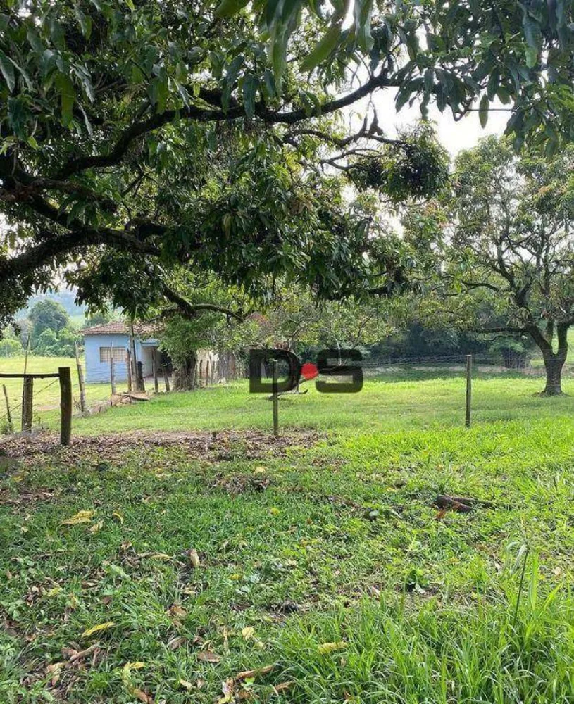 Terreno, 4 hectares - Foto 2