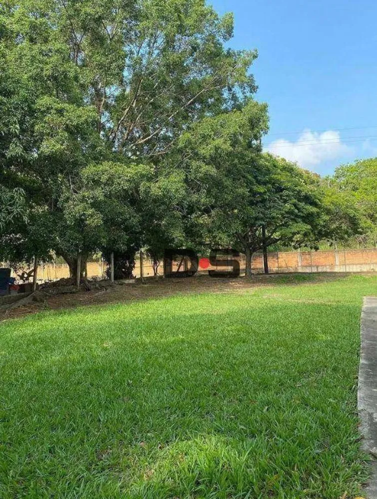 Terreno, 4 hectares - Foto 4